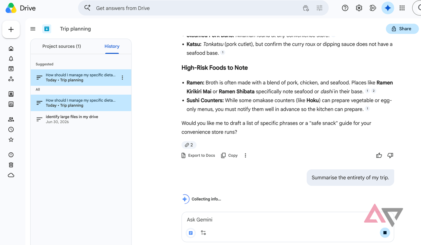 Google Drive Projects conversation history