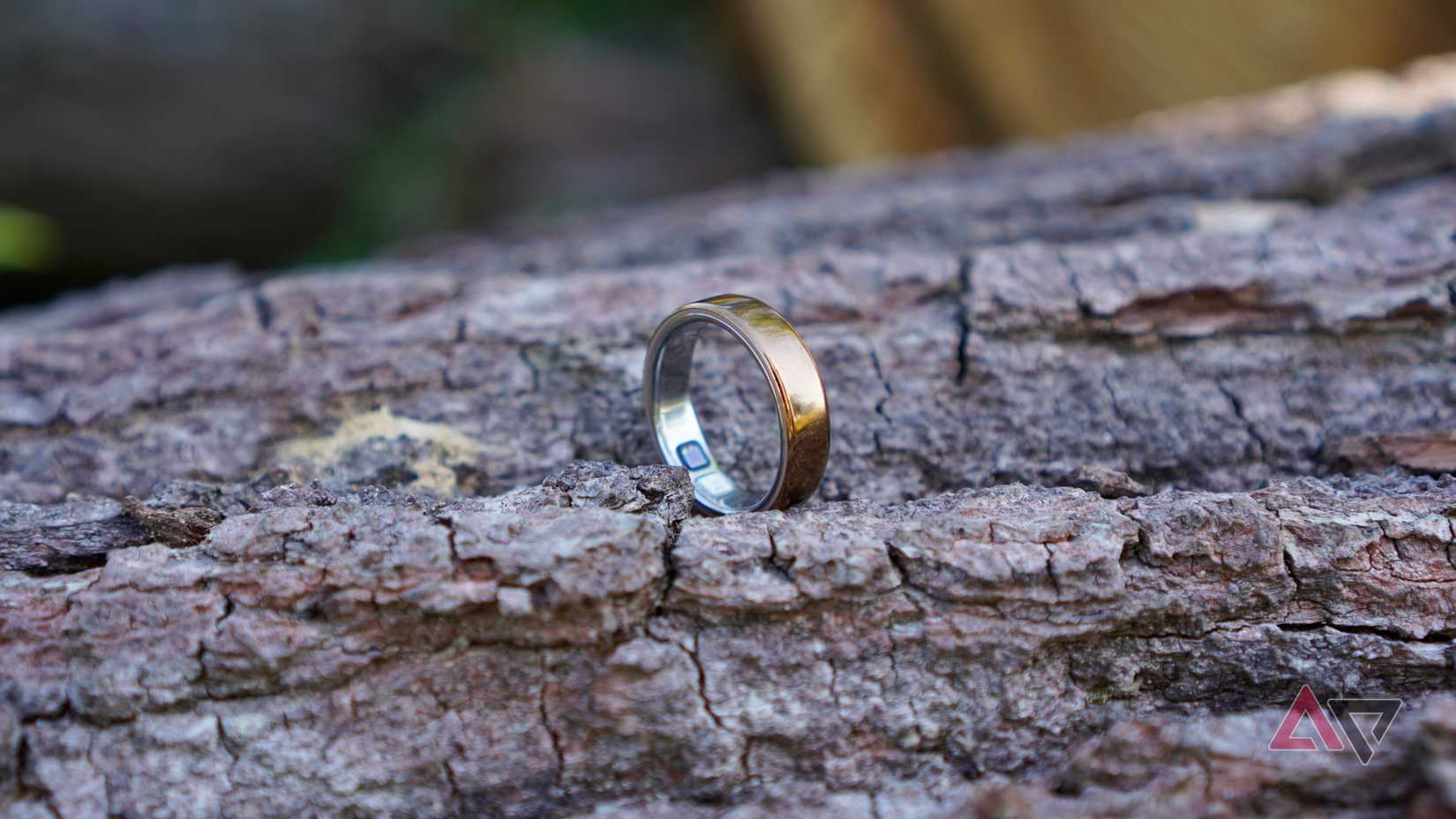 A lateral do Oura Ring 5