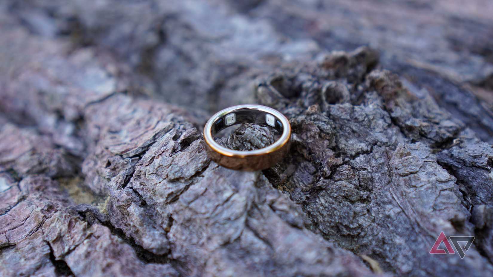 Os sensores do Oura Ring 5
