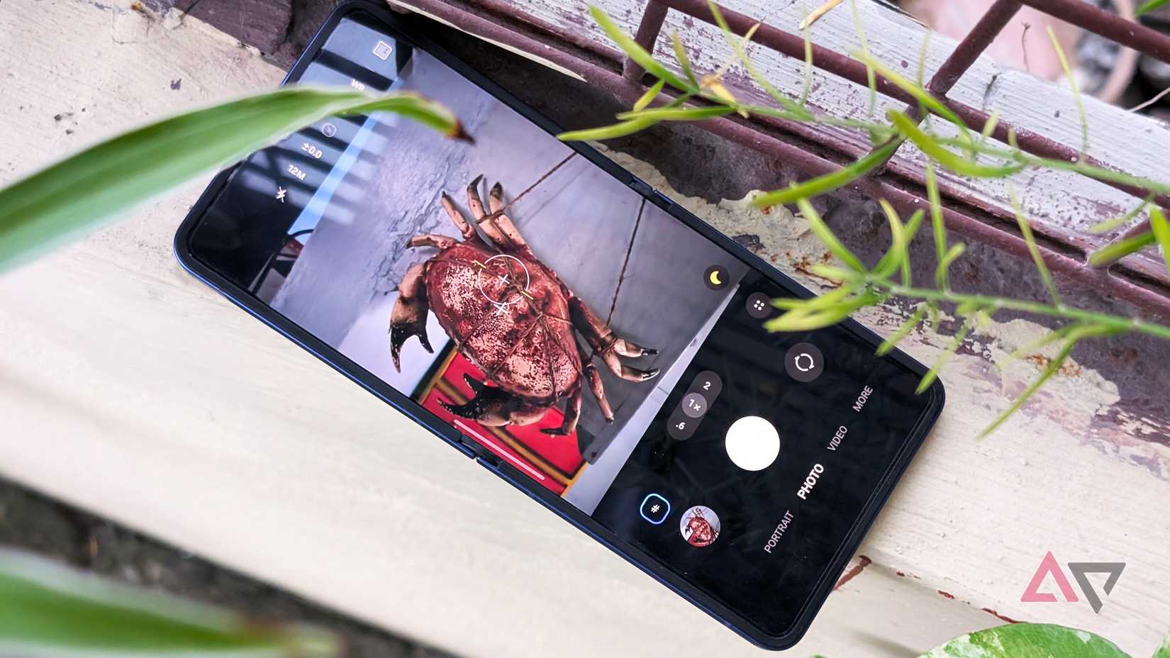 Samsung Galaxy camera app in the Galaxy Z Flip 7 smartphone previewing a crab in the viewfinder