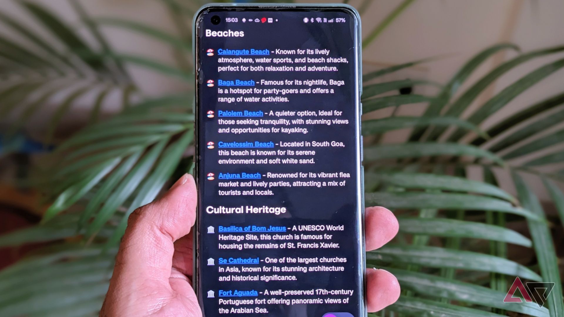 Arc Search on phone showing Goa's beach search results