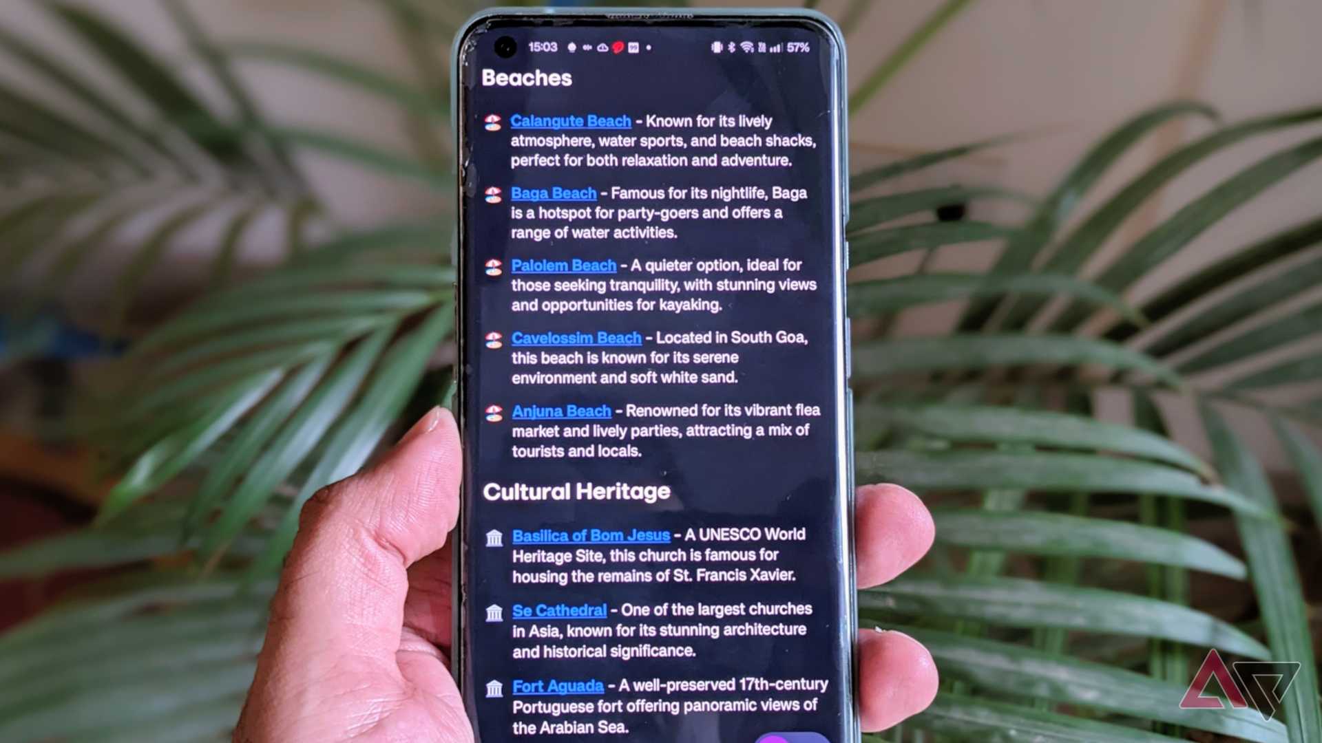 Arc Search on phone showing Goa's beach search results