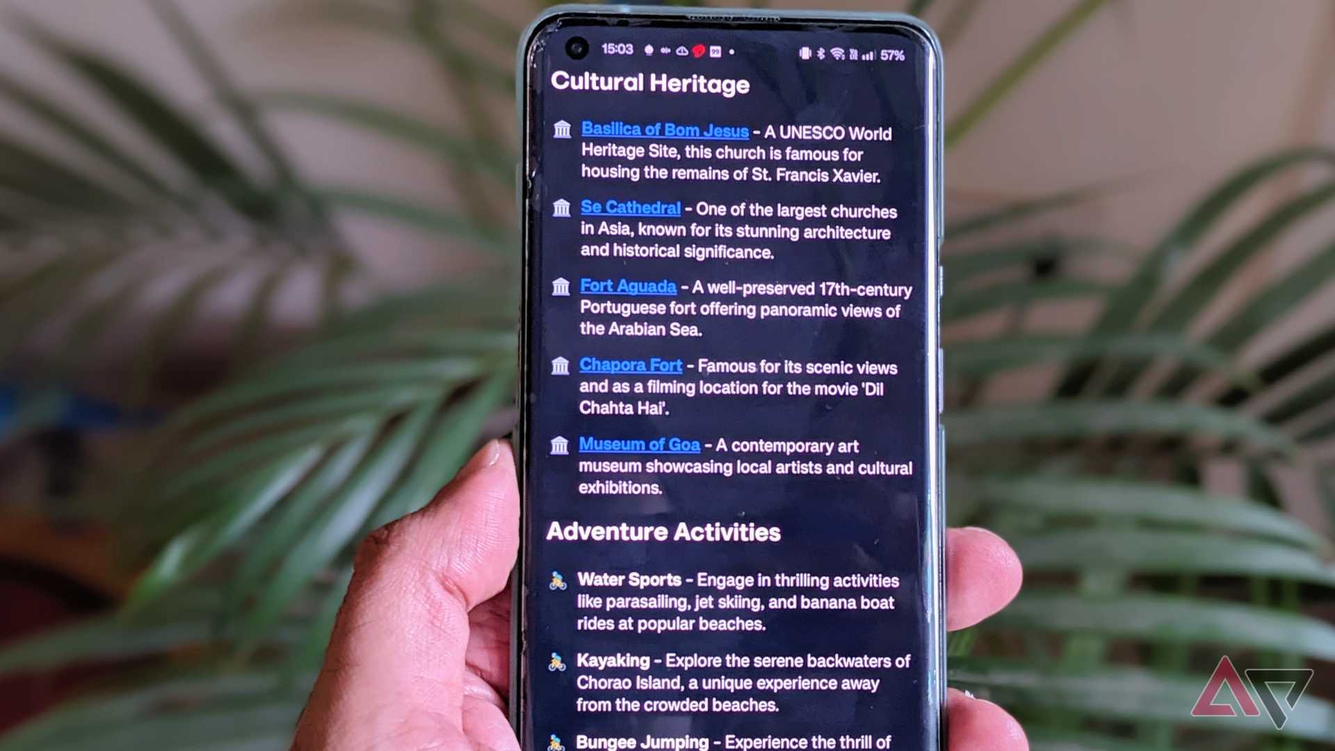 Arc Search on phone showing Goa's cultural search results