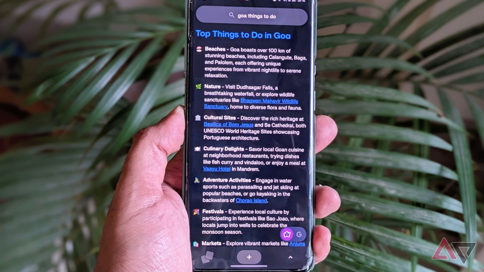 Arc Search browser showing things to do in Goa