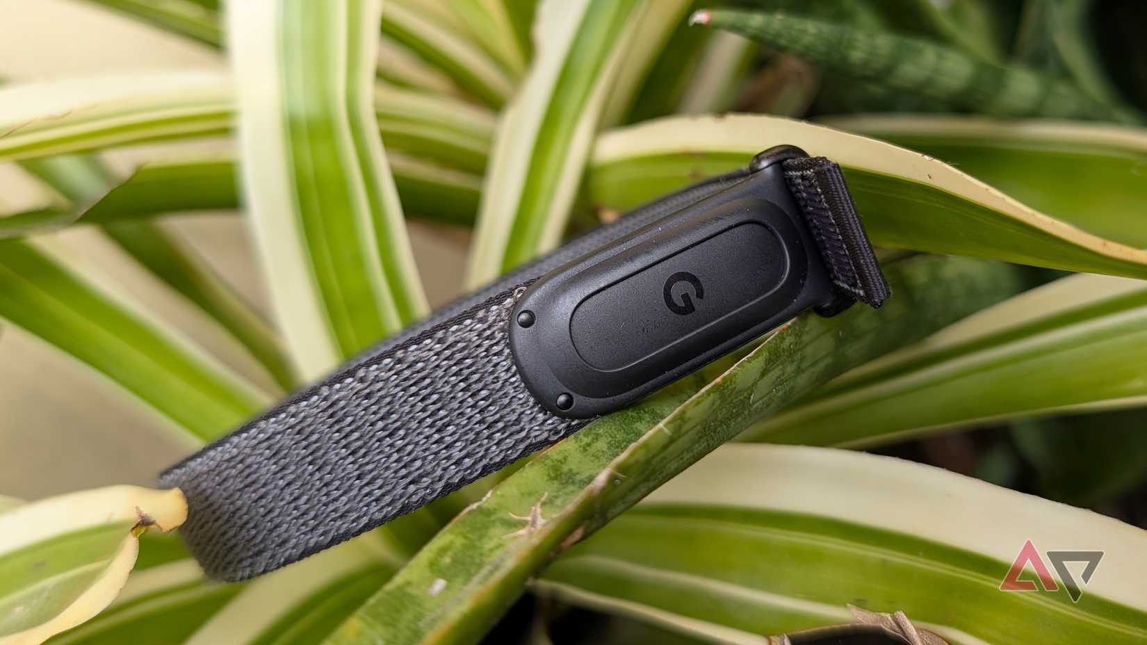 Google Fitbit Air fitness tracker