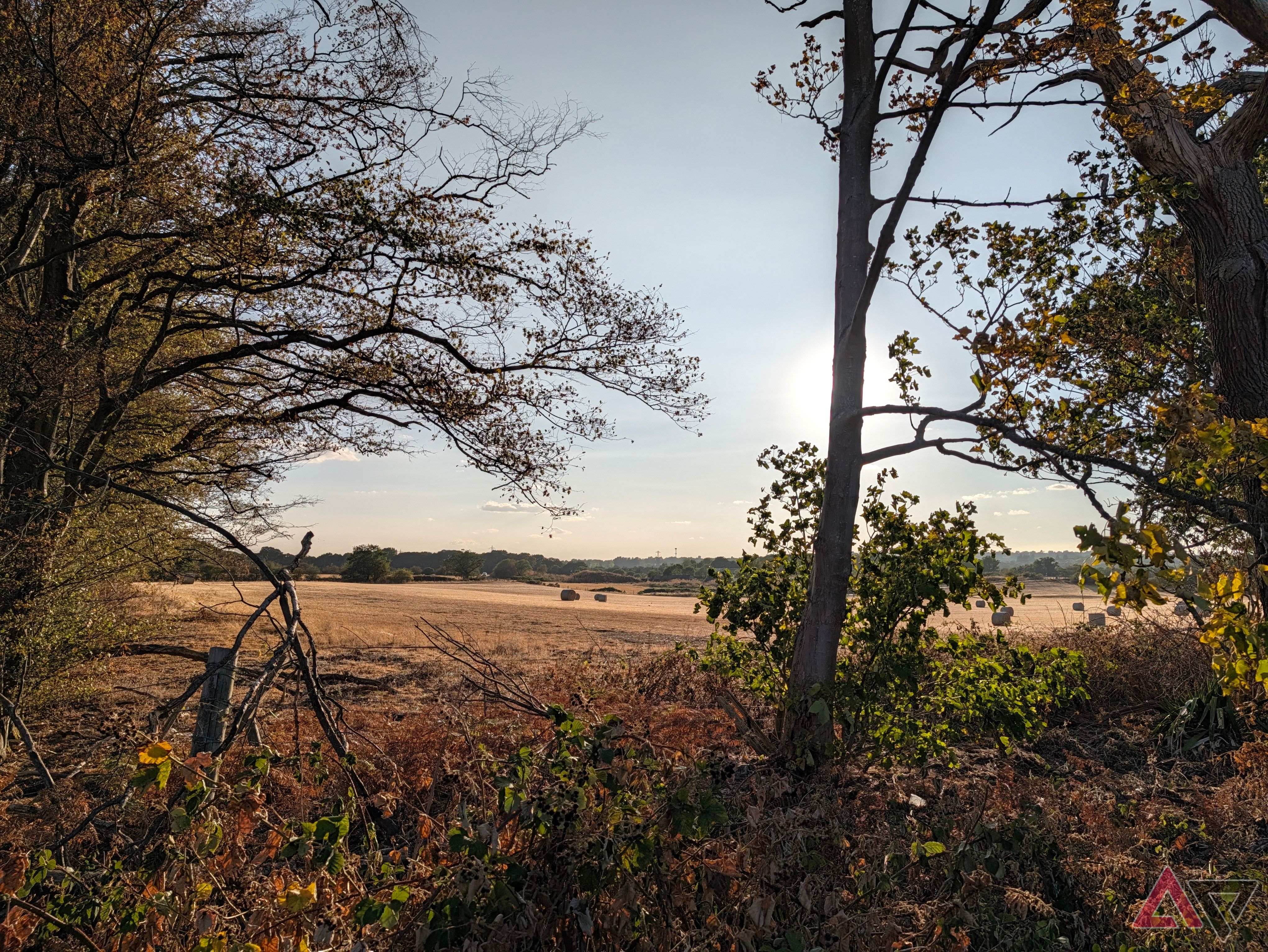 A photo taken with the Google Pixel 11 Pro