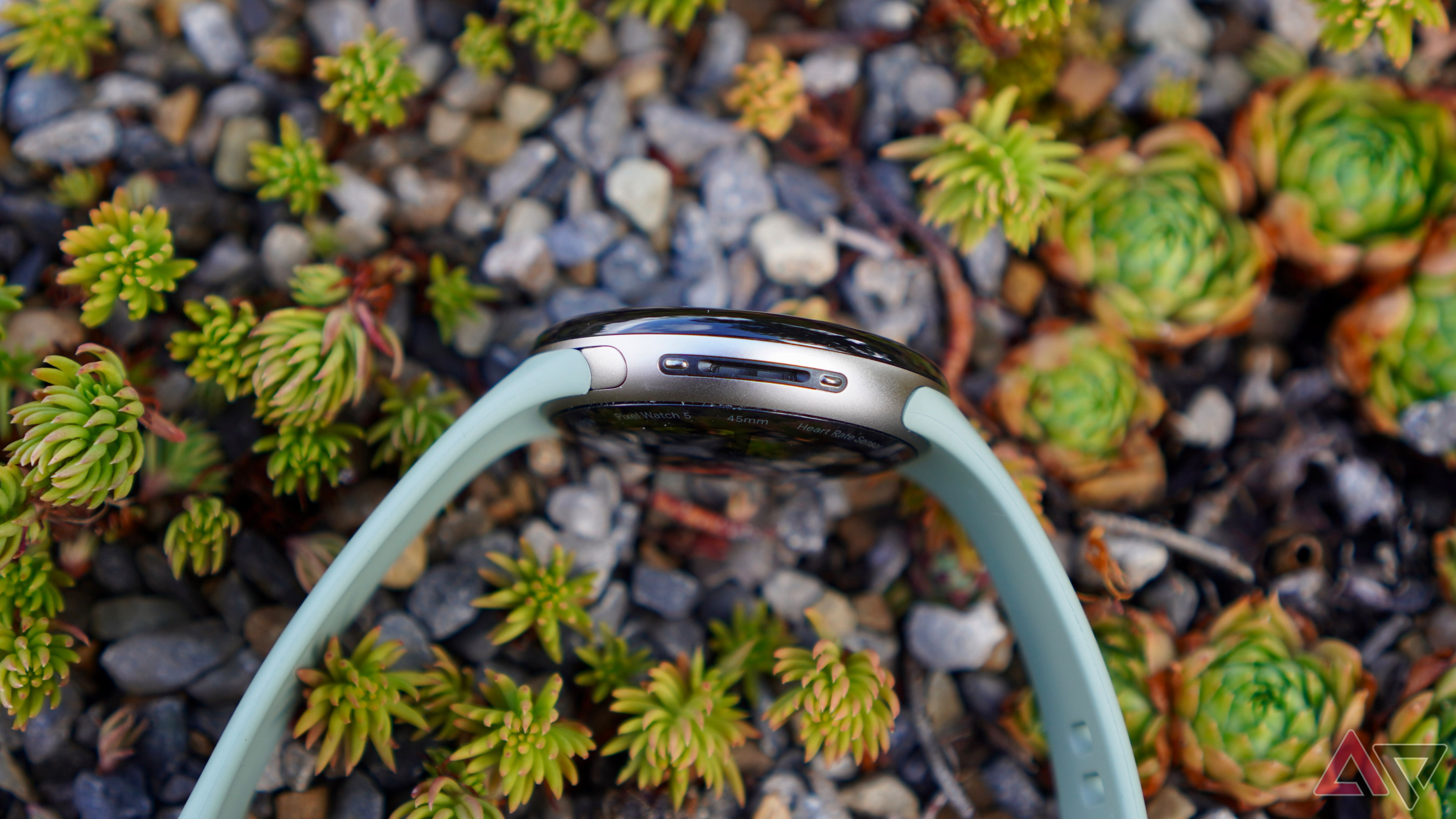 The side of the Google Pixel Watch 5