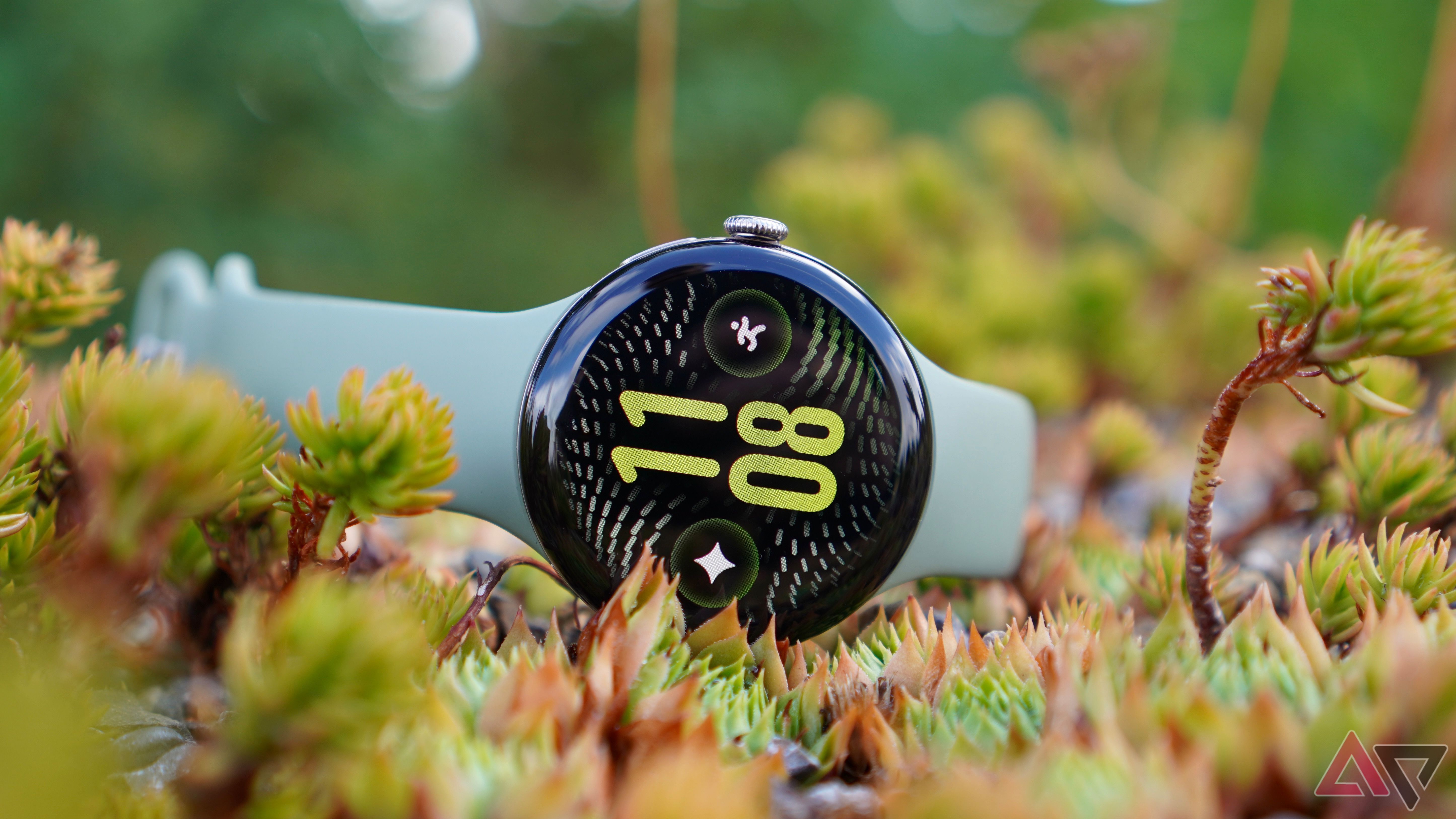 The front of the Google Pixel Watch 5