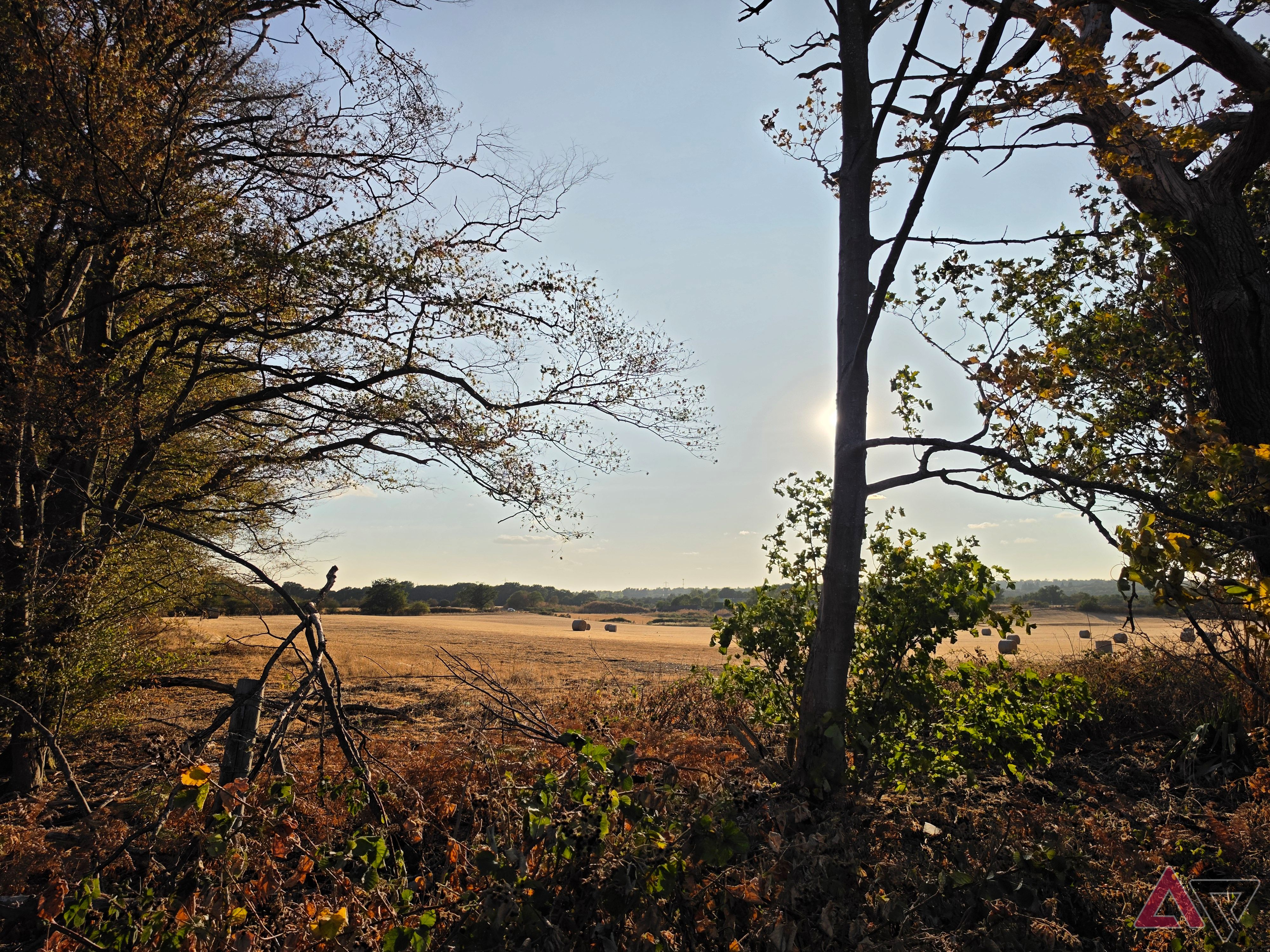 A photo taken with the Samsung Galaxy S26 Ultra