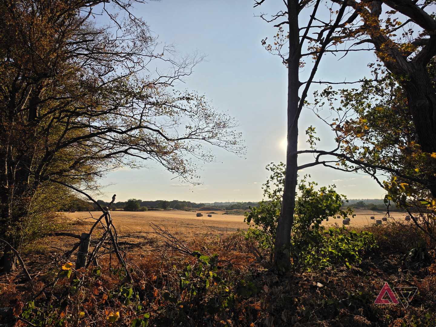 A photo taken with the Samsung Galaxy S26 Ultra