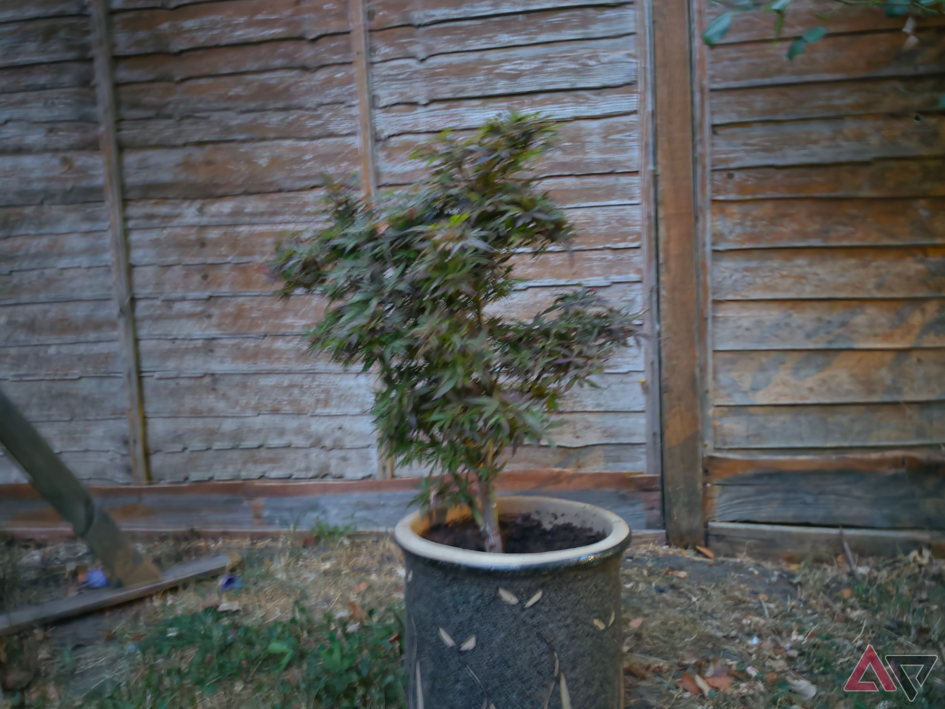 A photo taken with the Samsung Galaxy S26 Ultra