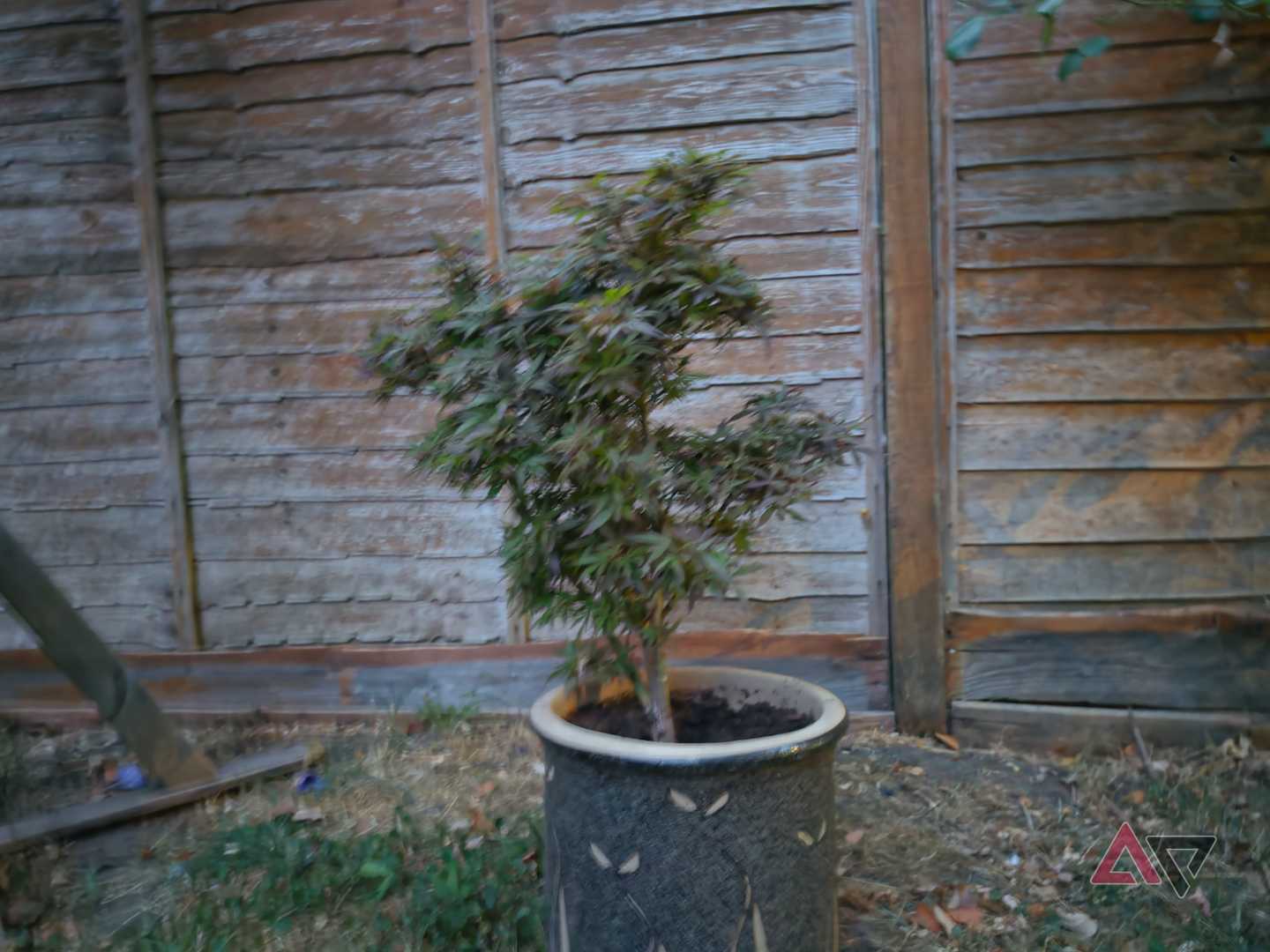 A photo taken with the Samsung Galaxy S26 Ultra