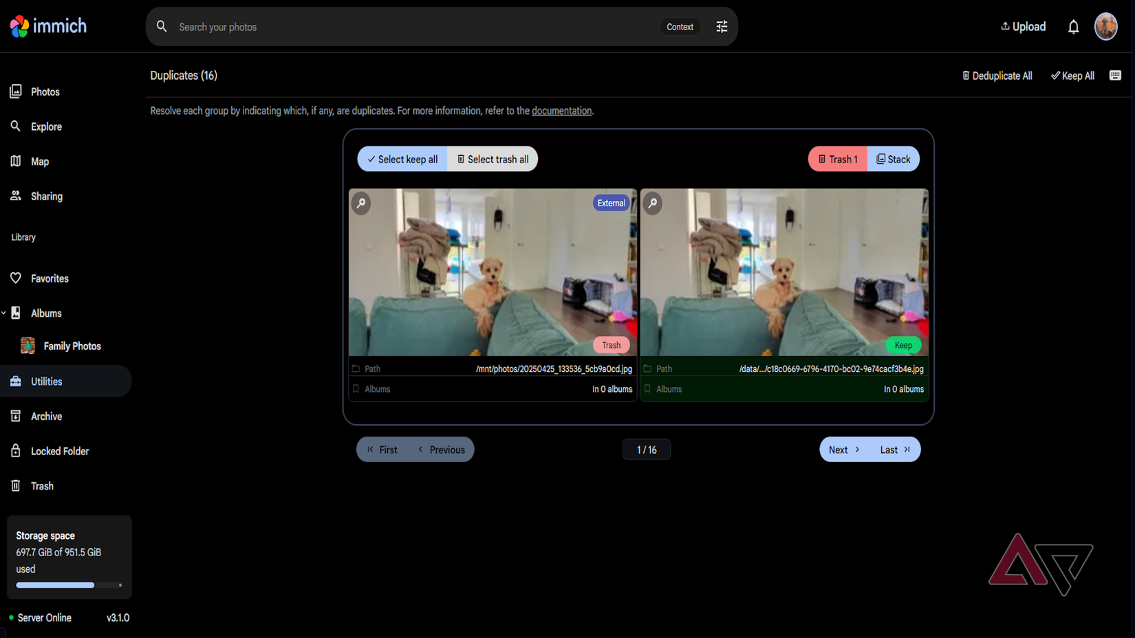 Immich recognizing duplicate images