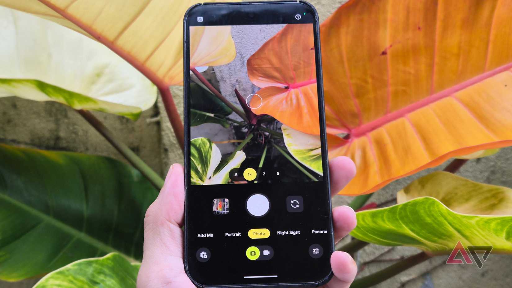 Google Pixel 9 Pro XL у режимі камери