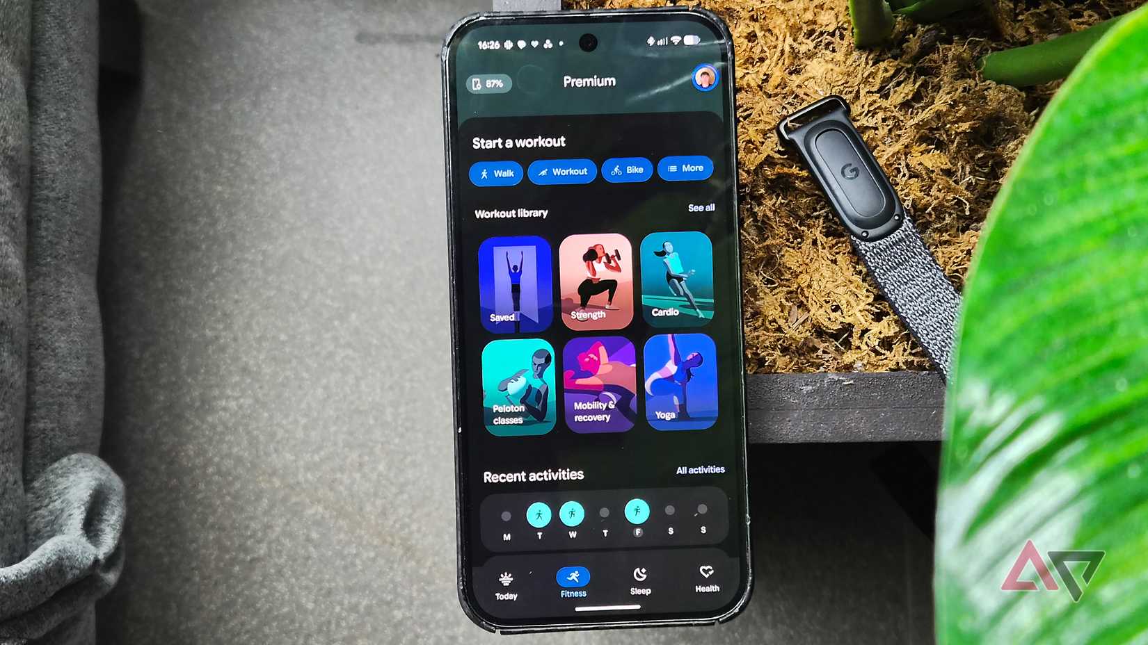 Google Pixel 9 Pro XL with Google Fitbit health app and Fitbit Air