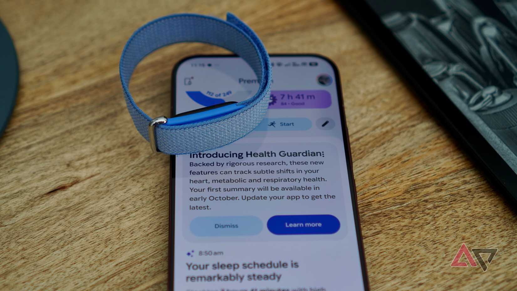 The Fitbit Air and Google Health app