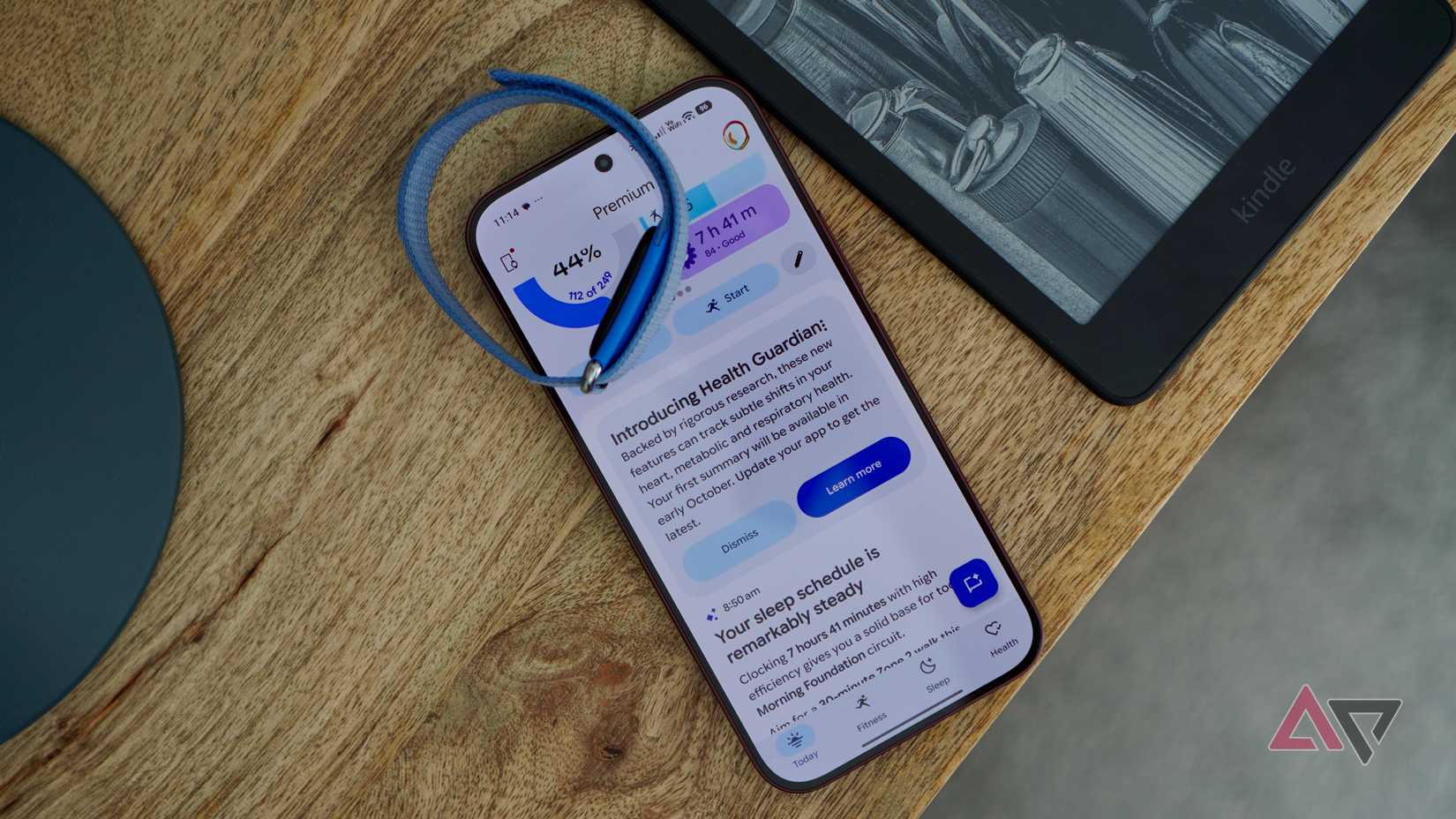 The Fitbit Air and Google Health app