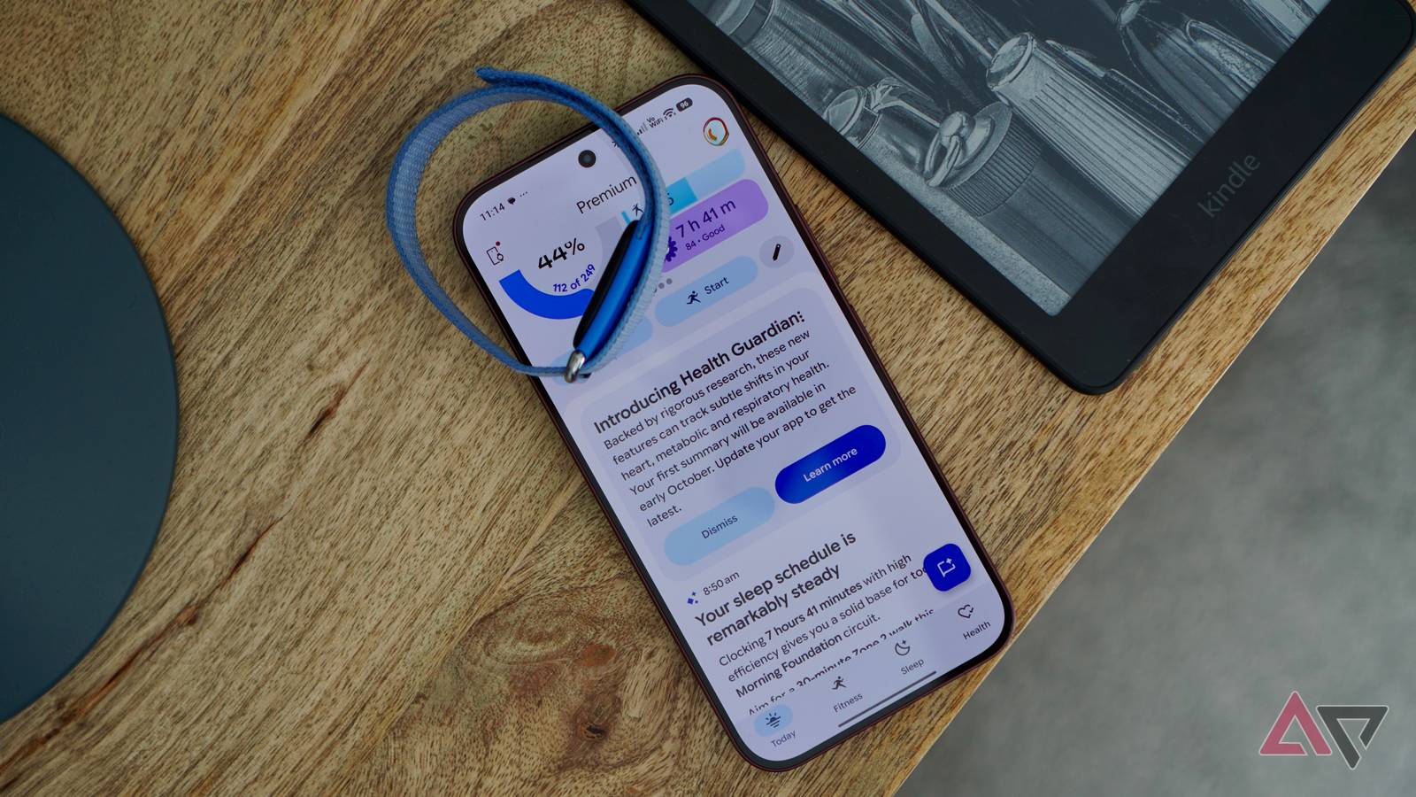The Fitbit Air and Google Health app