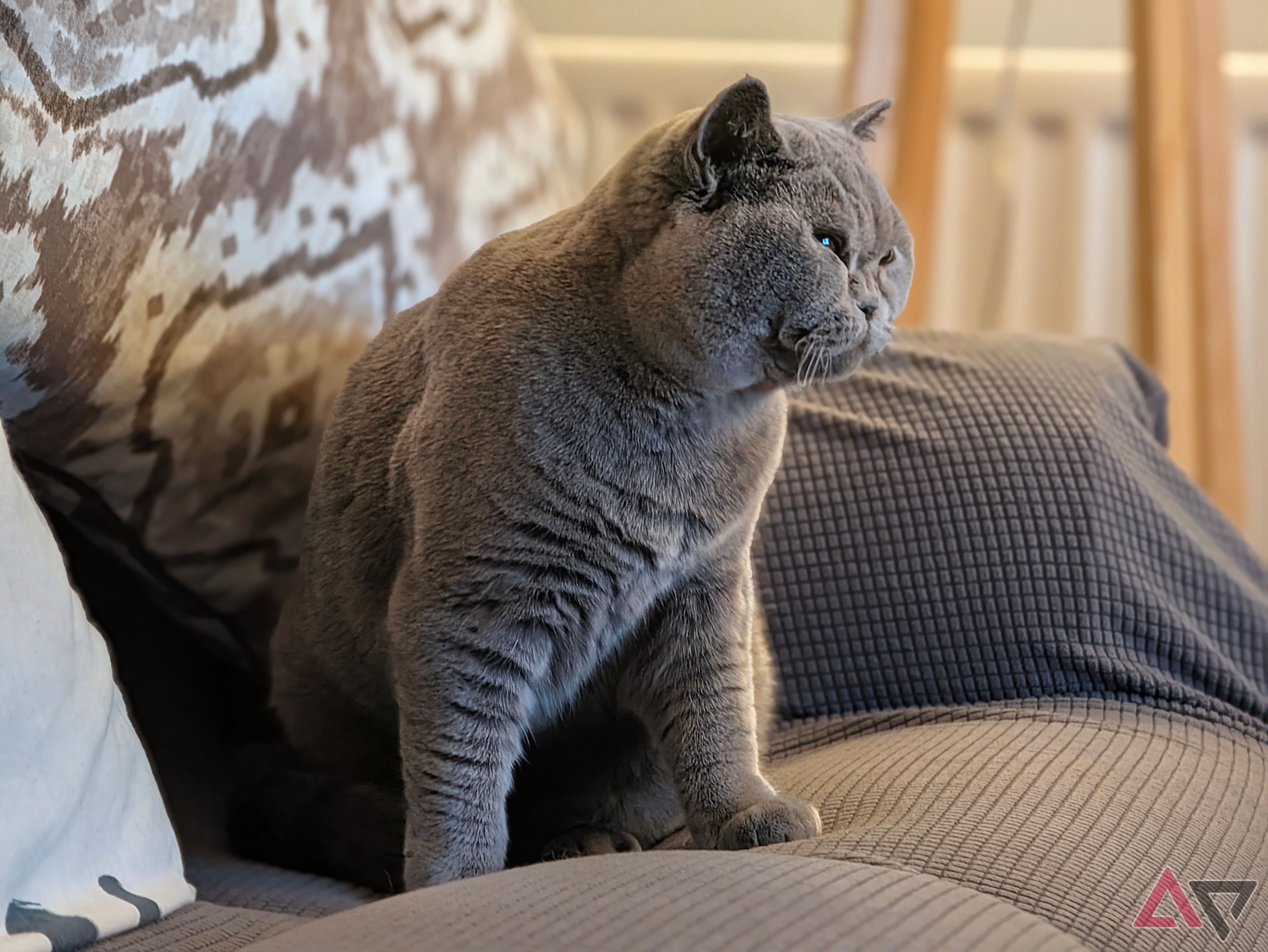 A photo taken with the Google Pixel 11 Pro
