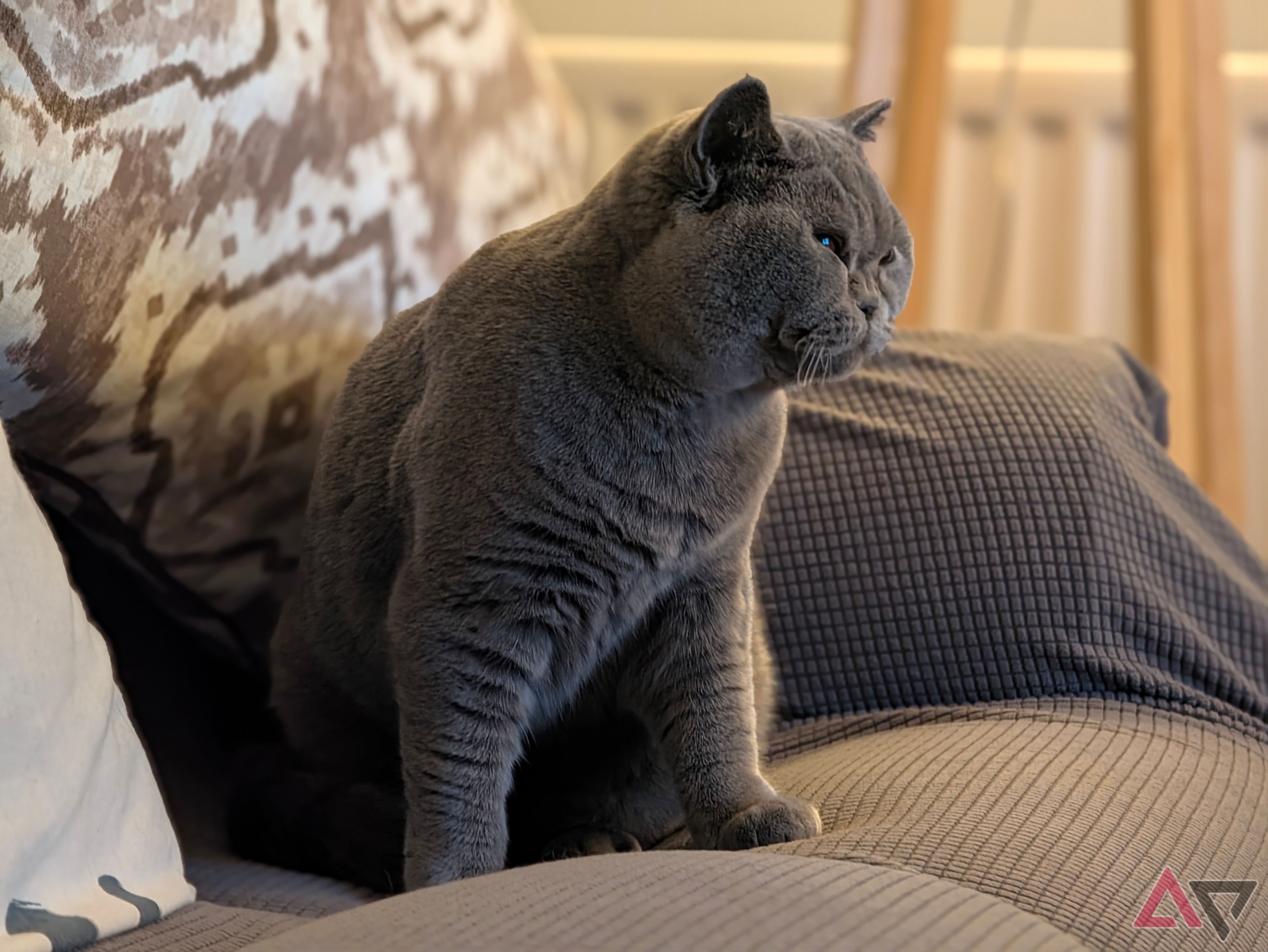 A photo taken with the Google Pixel 11 Pro