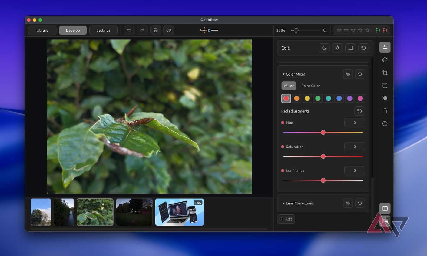 Screenshot showing color mixture in CalibRaw