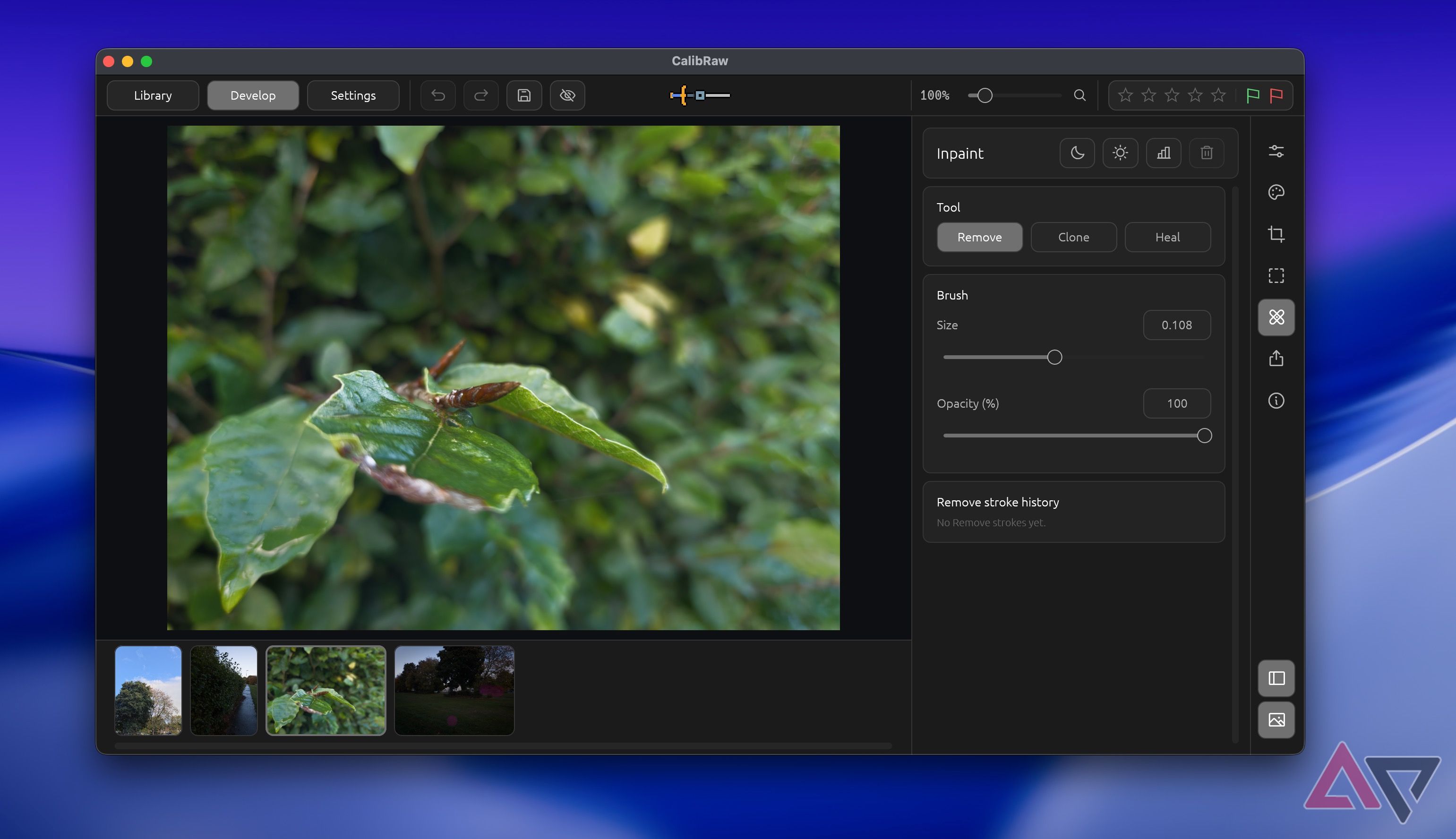 Screenshot showing how to remove an object in CalibRaw