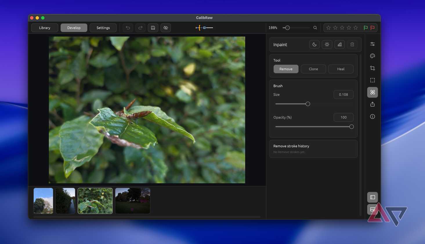 Screenshot showing how to remove an object in CalibRaw