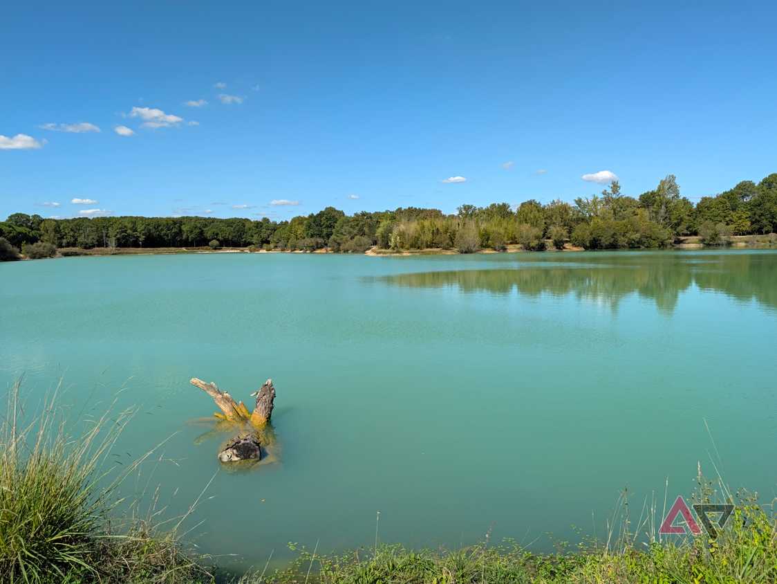 camera-sample-pixel-11-pro-xl-lake-vanilla