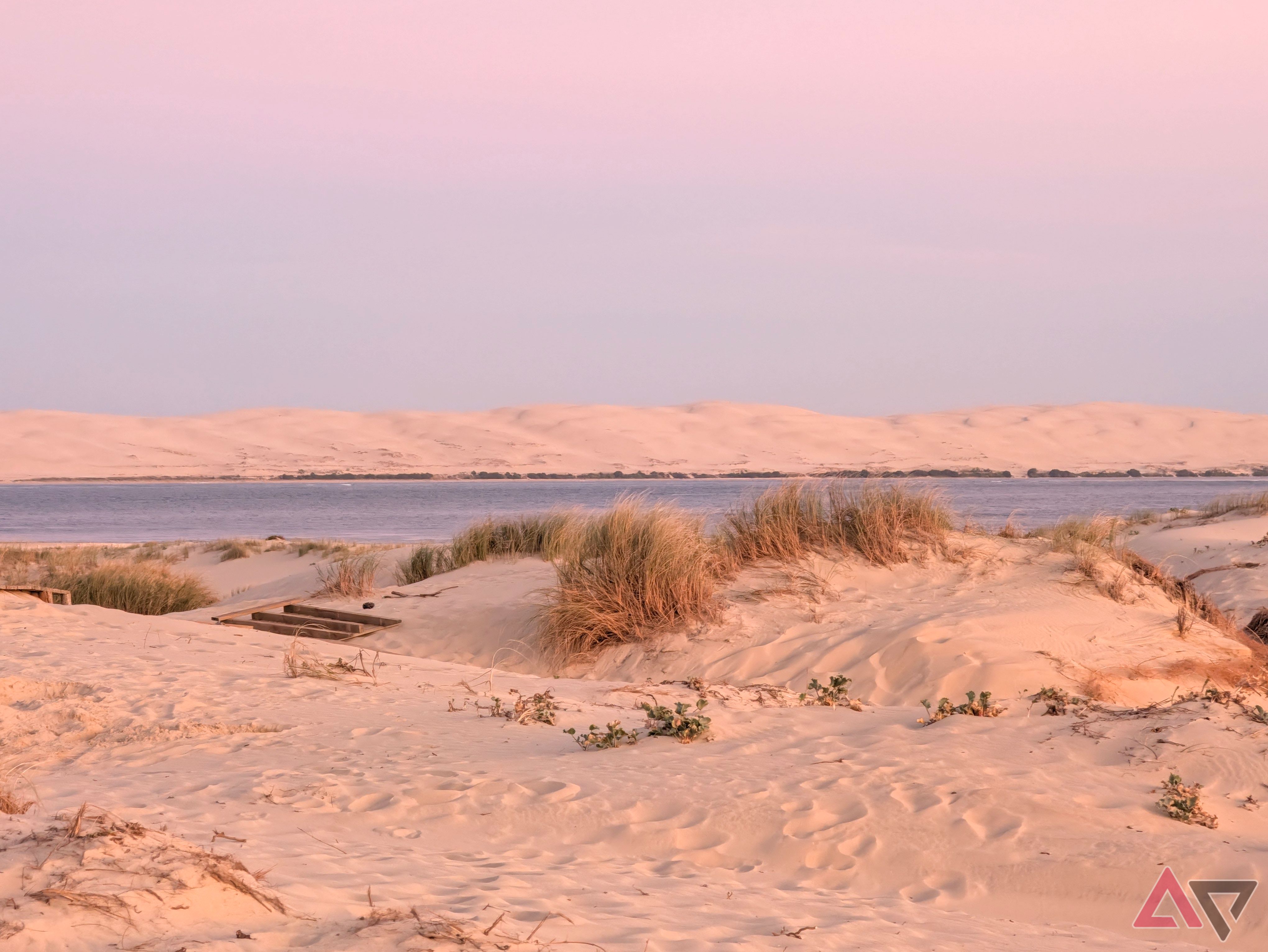 camera-sample-pixel-11-pro-xl-purple-hour-vanilla