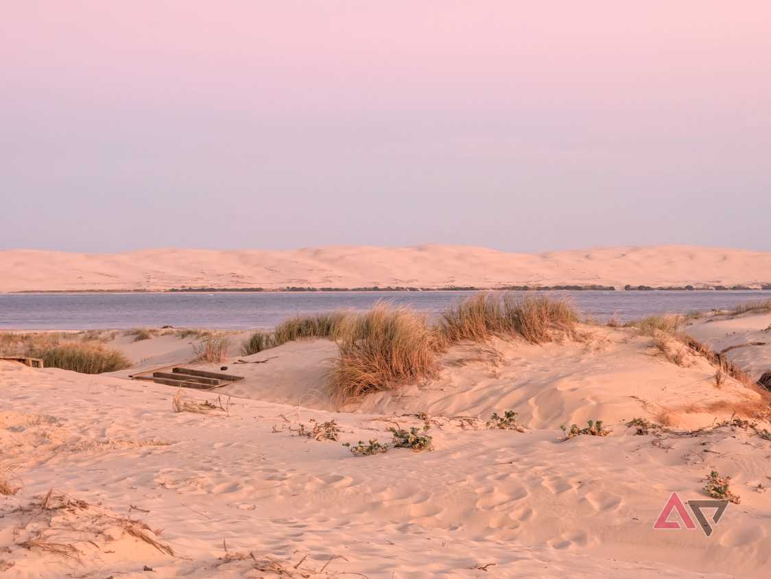 camera-sample-pixel-11-pro-xl-purple-hour-vanilla