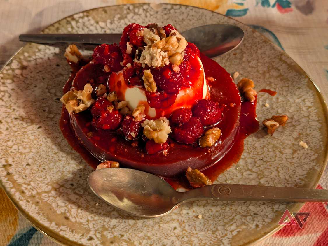 camera-sample-pixel-11-pro-xl-red-dessert-vanilla