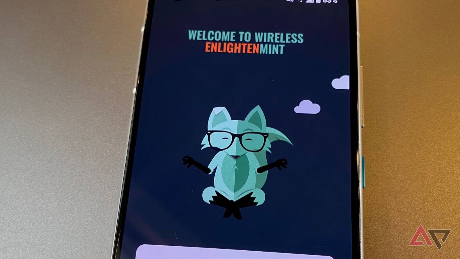 Mint Mobile on phone screen