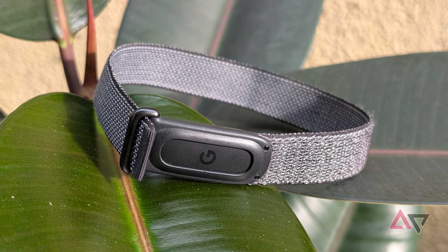 Google Fitbit Air fitness band tracker