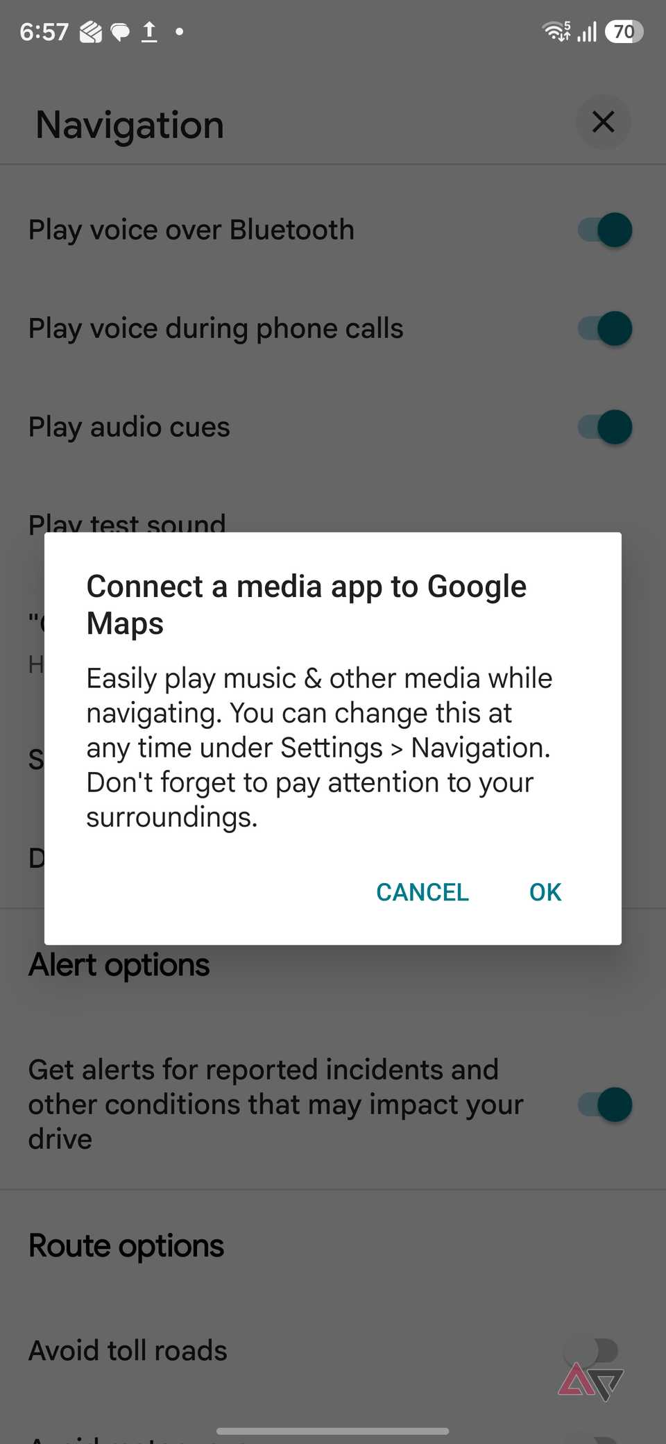 Google Maps settings
