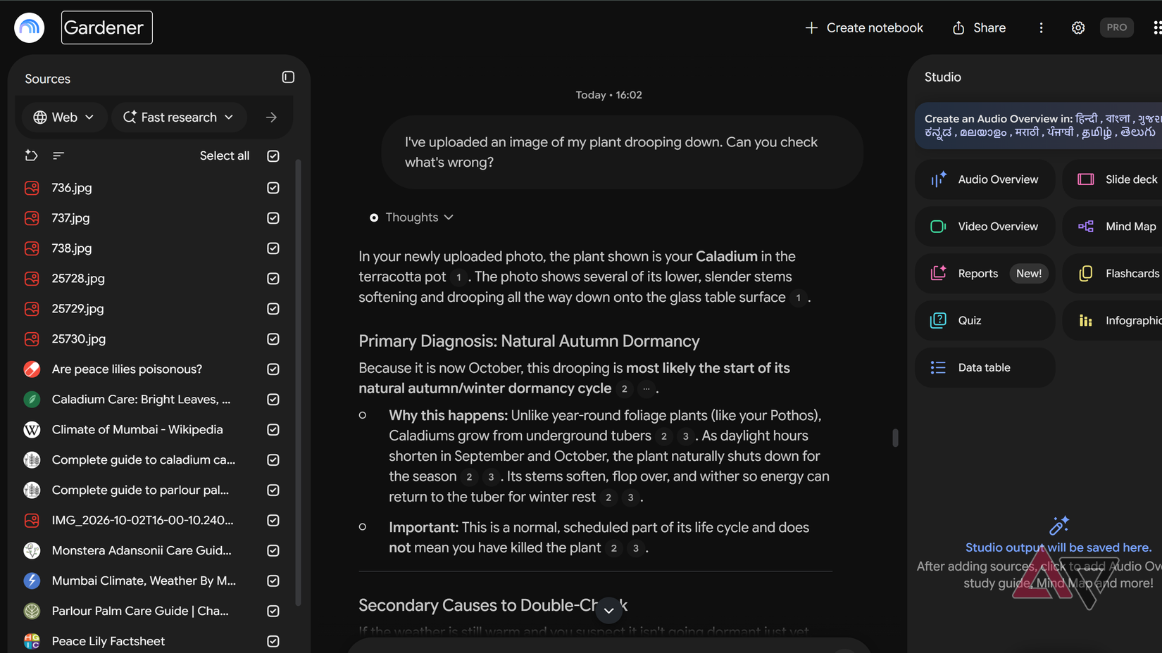 Google Gemini Notebook set up as a Gardening expert